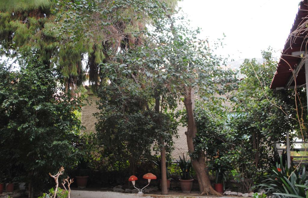 Pension Alkistis Tolón Buitenkant foto